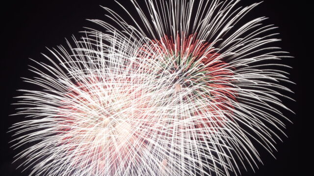 ランダム記事表示テスト用