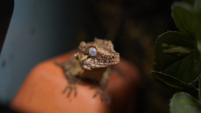 タイトルリネーム時の反映確認